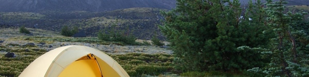 Campground: Trout Lake Creek