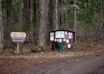 Campground: Trout Lake Creek