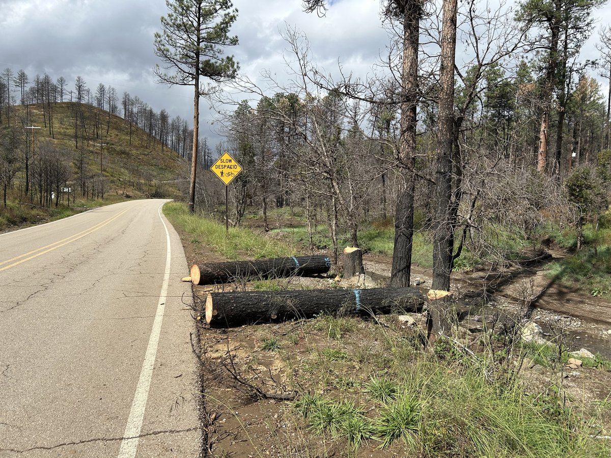 Saddle Campground