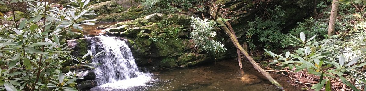 USDA Forest Service