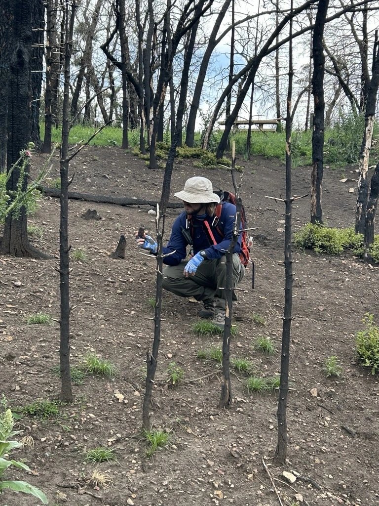 USDA Forest Service
