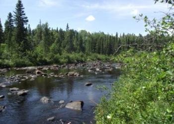 USDA Forest Service