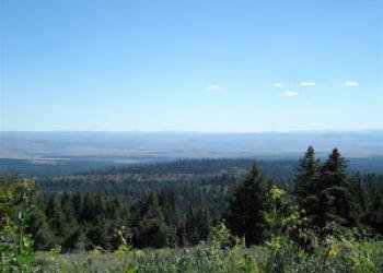 USDA Forest Service