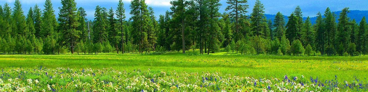 USDA Forest Service
