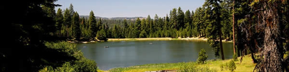 USDA Forest Service