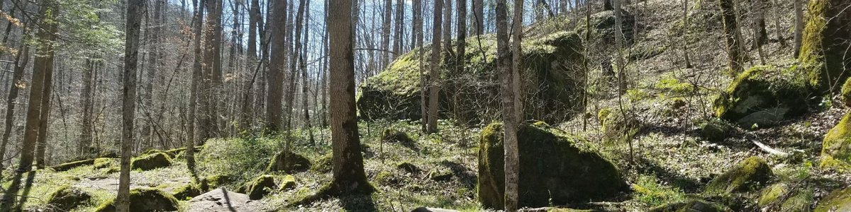 Red River Gorge Geological Area