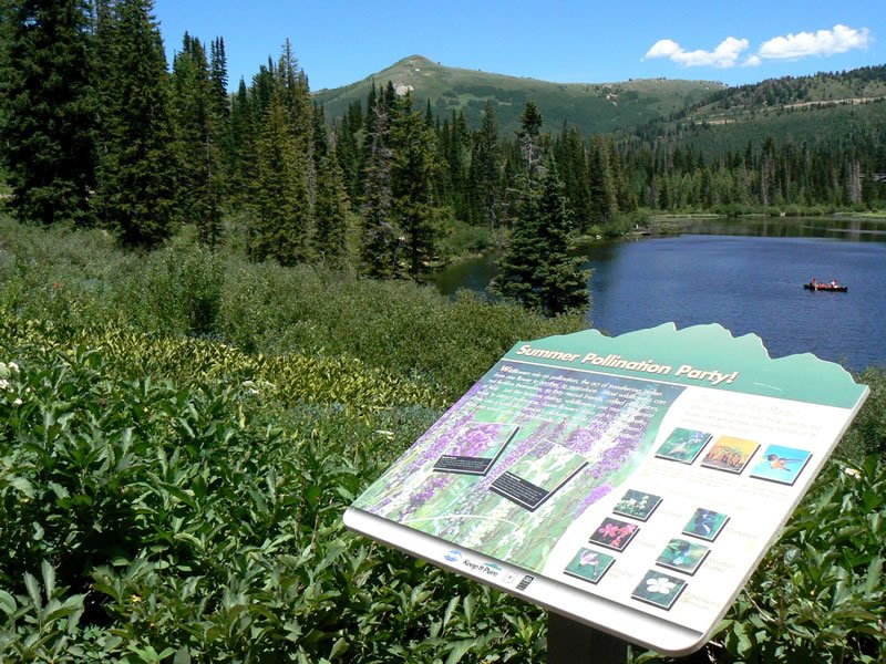 Columbine Landing Recreation Site
