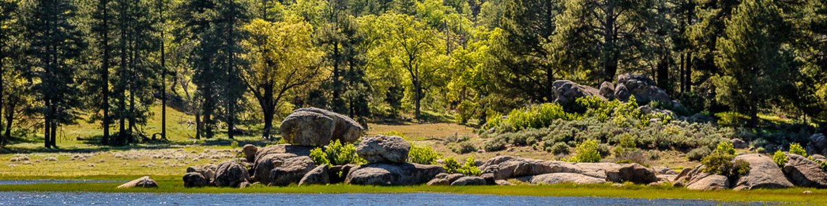 USDA Forest Service