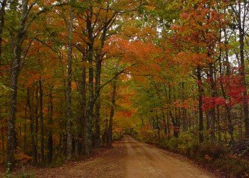 USDA Forest Service
