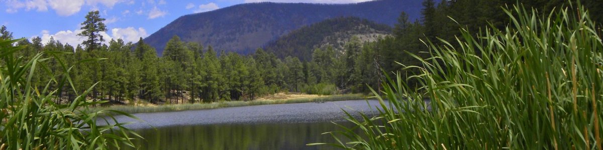 Bear Canyon Lake And Camping Area