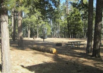 USDA Forest Service