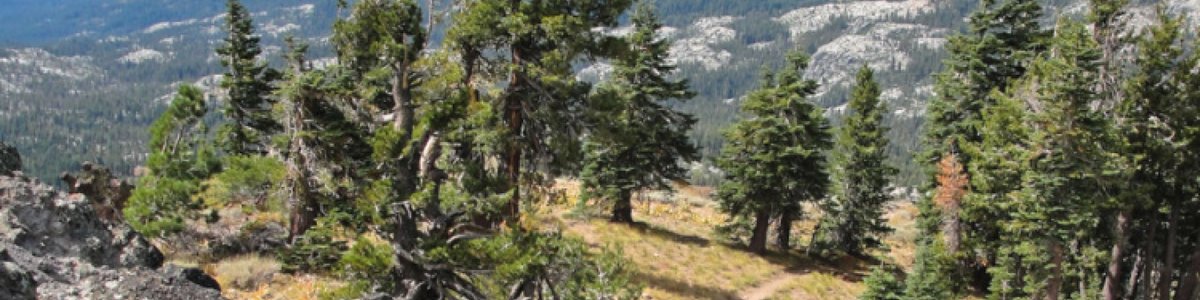 USDA Forest Service