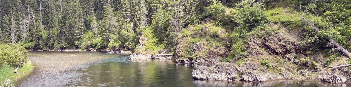 USDA Forest Service