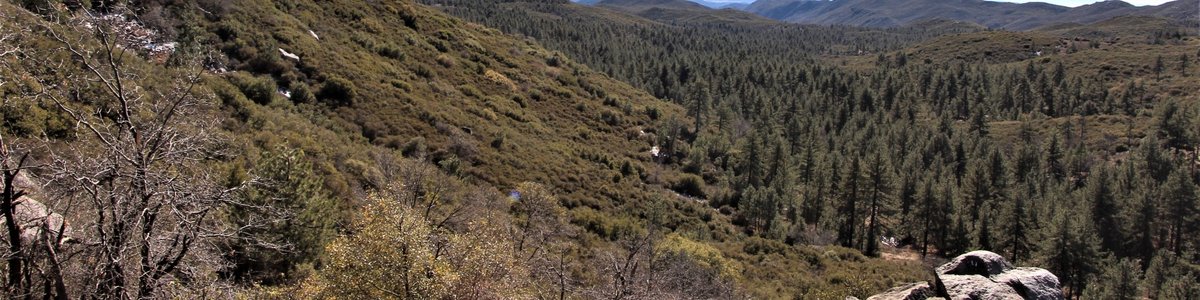 USDA Forest Service