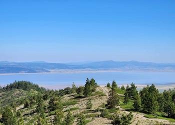 USDA Forest Service