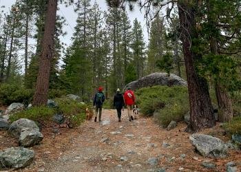 USDA Forest Service