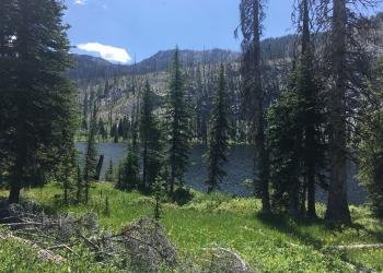 Badger Creek Campground