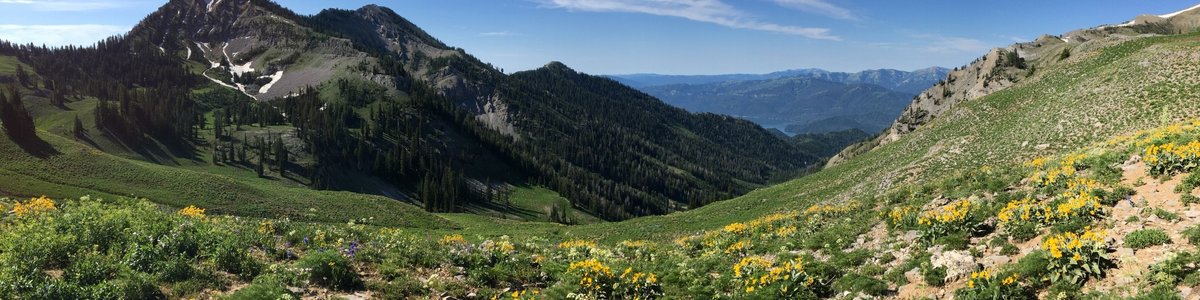 USDA Forest Service