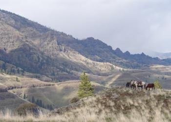 USDA Forest Service