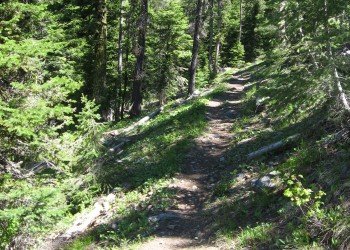 USDA Forest Service