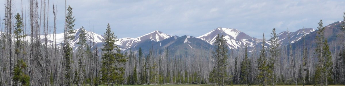 USDA Forest Service