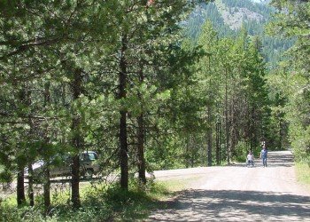 Williamson Campground