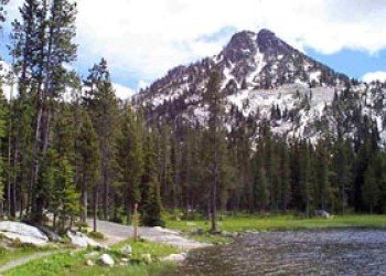 Lake Fork Campground