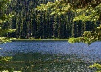 Lake Fork Campground