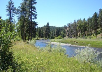Bird Track Springs Campground
