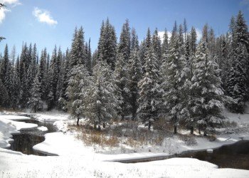 USDA Forest Service