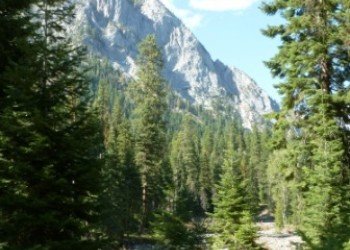 Eagle Forks Campground