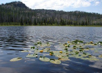 Fish Lake Campground