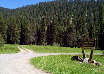 USDA Forest Service