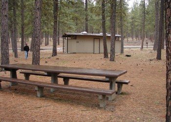 USDA Forest Service