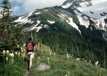 Green Canyon Campground & Day Use Area