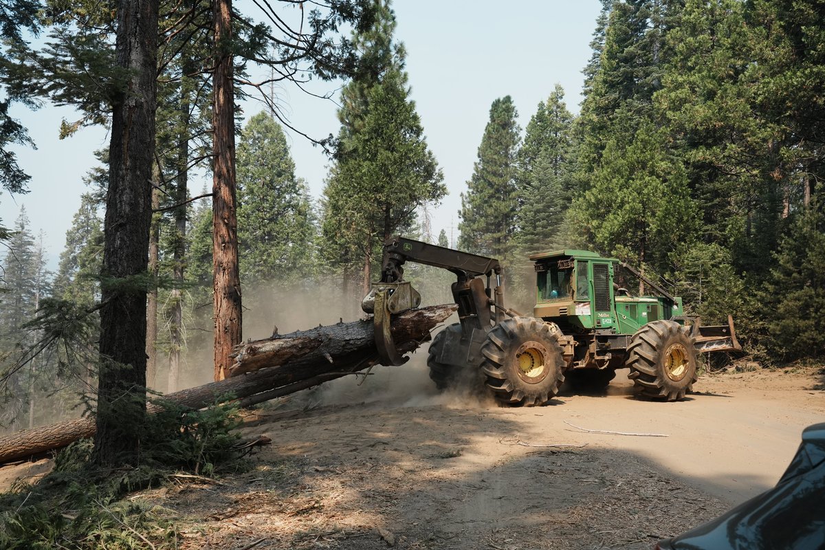 Whisky Falls Campground