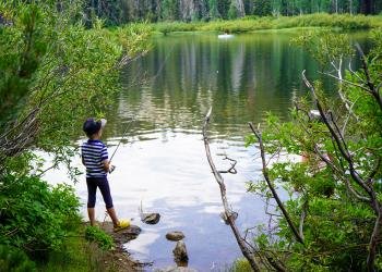 Jackson Creek Campground