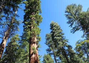 Jackson Creek Campground