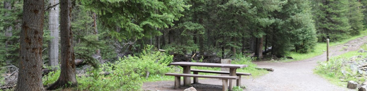 Bear Creek Campground