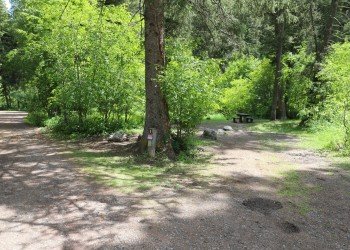 USDA Forest Service