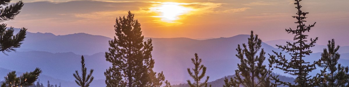 USDA Forest Service