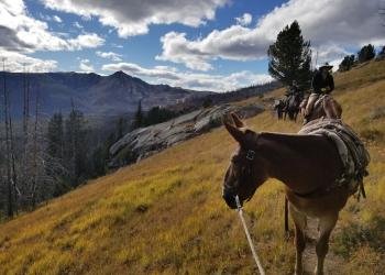 USDA Forest Service