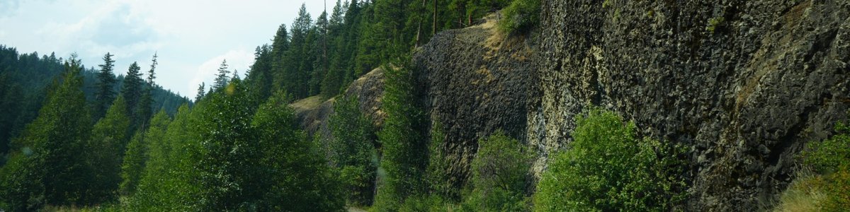 USDA Forest Service