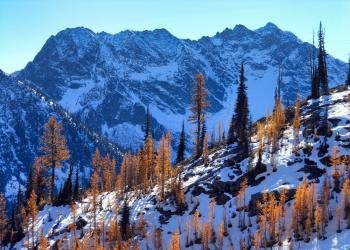 Alpine Meadows Campground