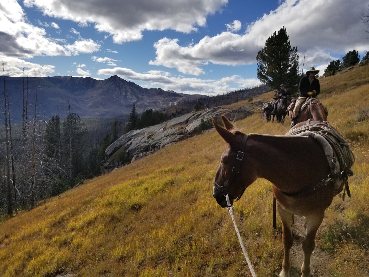 Meadow Creek Campground