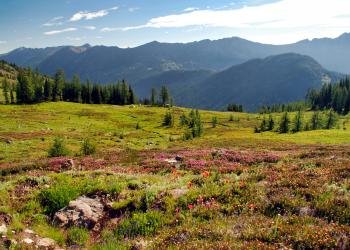 Rainy Creek Campground