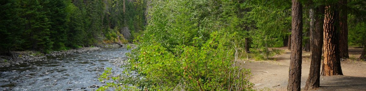 White River Falls Campground