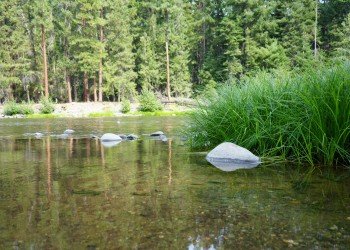 USDA Forest Service