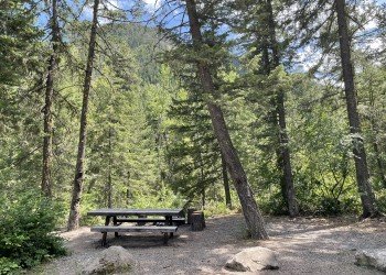 Lone Fir Campground