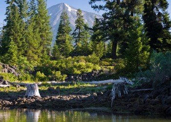 Head Of The River Campground